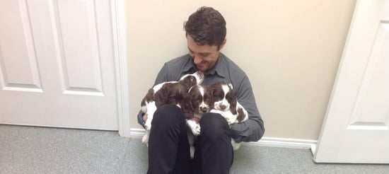 Andrew-puppies-1024x459