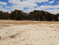 Baron land before Biodiverse Sandalwood plantation