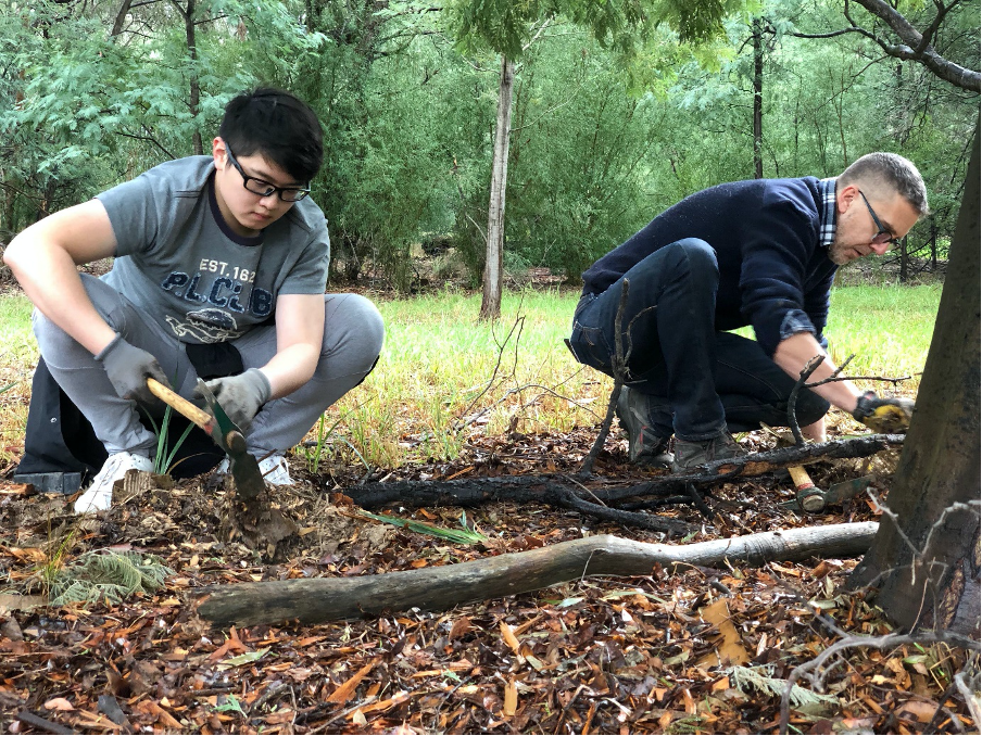 A group of people sitting in a tree

Description automatically generated